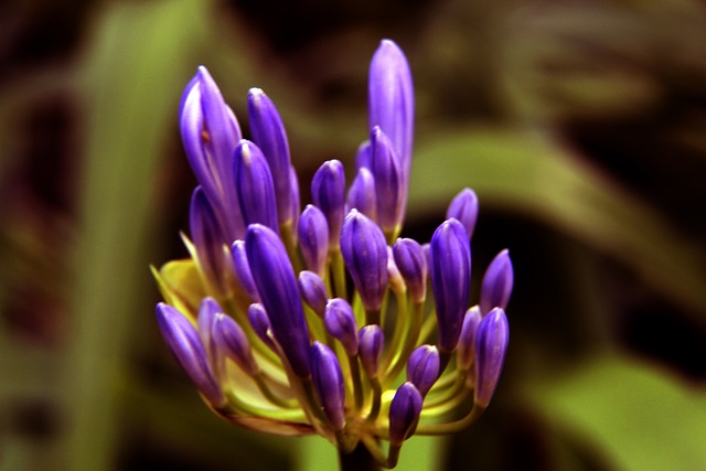 季节