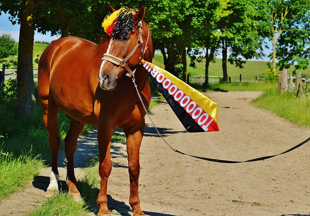 主帅必须做 主帅必须做