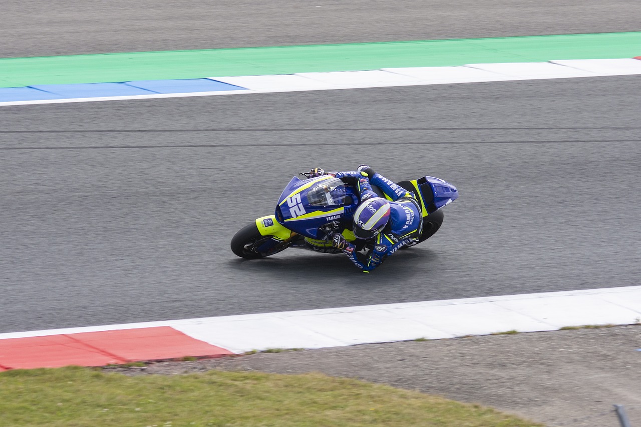 赢得冠军 赢得冠军