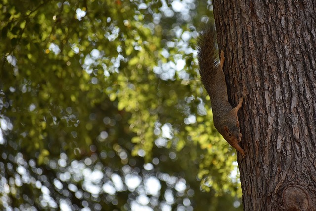 唯一一位在 唯一一位在