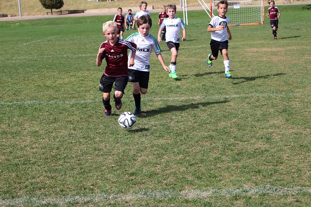 牌数已超越 牌数已超越