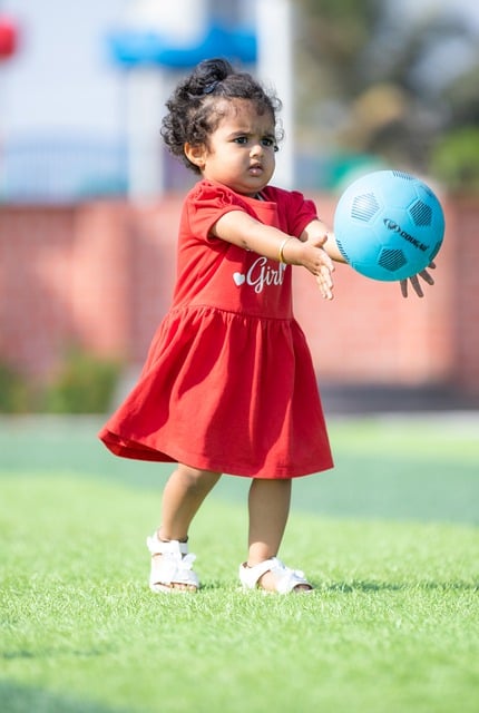 不仅仅归功 不仅仅归功