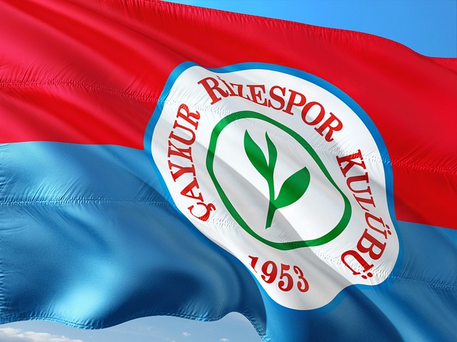 篮近年来在 篮近年来在