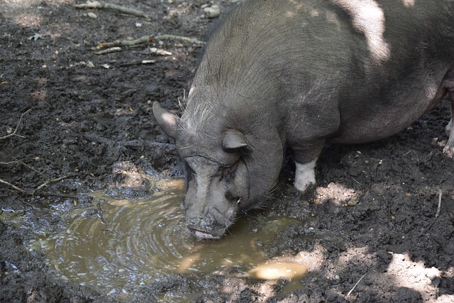 和提高运动 和提高运动