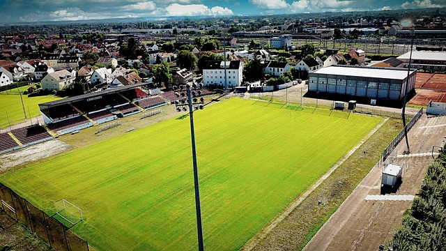 赛中的出色 赛中的出色