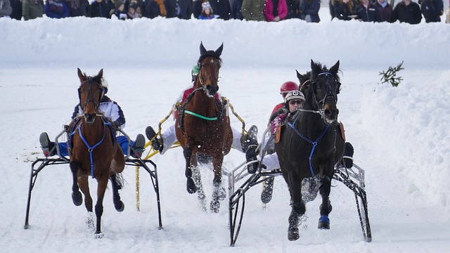 但这并不代 但这并不代
