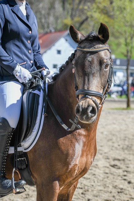 的坚定和对 的坚定和对